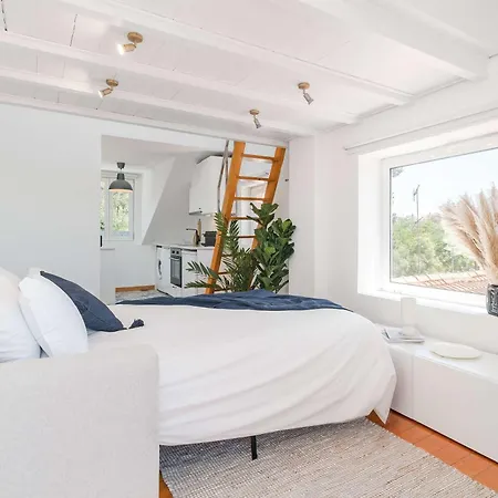 Apartamento Alcantara 1br With Terrace & View